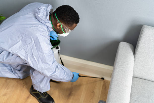 Best Pest Prevention Services  in Merrydale, LA